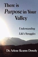bokomslag There is Purpose in Your Valley: Understanding Life's Struggles