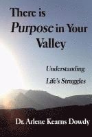 There is Purpose in Your Valley: Understanding Life's Struggles 1