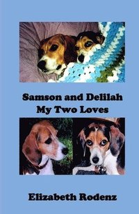 bokomslag Samson and Delilah