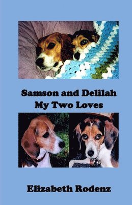 Samson and Delilah 1