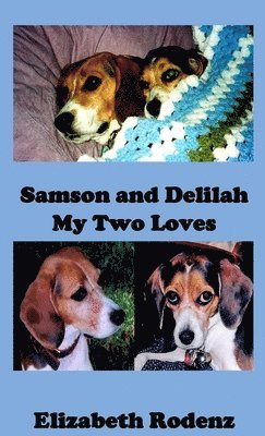 Samson and Delilah 1