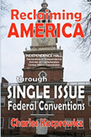 bokomslag Reclaiming America: through Single Issue Federal Conventions