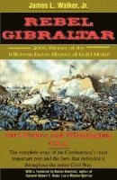 bokomslag Rebel Gibraltar: Fort Fisher and Wilmington, C.S.A.