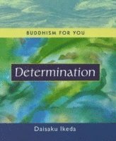 bokomslag Determination