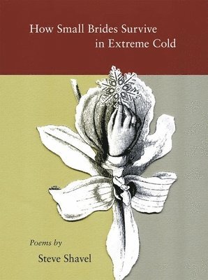 Steve Shavel - How Small Brides Survive in Extreme Cold, Häftad