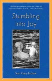 bokomslag Stumbling into Joy