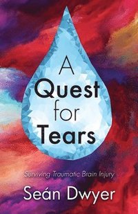 bokomslag Quest for Tears