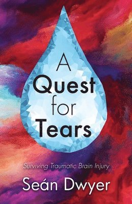 bokomslag Quest for Tears