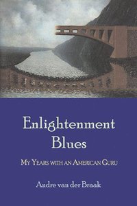 bokomslag Enlightenment Blues