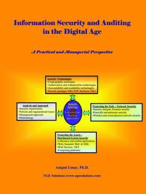 bokomslag Information Security and Auditing in the Digital Age
