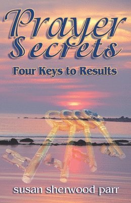 bokomslag Prayer Secrets