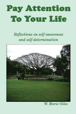 Pay Attention To Your Life: Reflections on self-awareness and self determination
