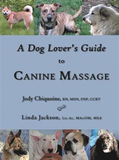 bokomslag Dog Lover's Guide to Canine Massage
