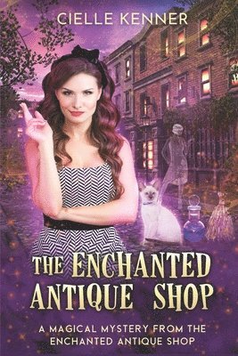 The Enchanted Antique Shop 1