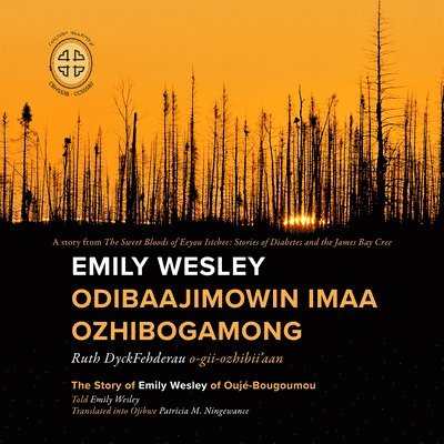 Emily Wesley Odibaajimowin imaa Ozhibogamong 1