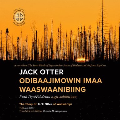 bokomslag Jack Otter Odibaajimowin Imaa Waaswaanibiing