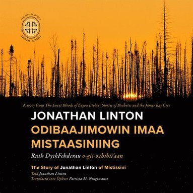 bokomslag Jonathan Linton Odibaajimowin imaa Mistaasiniing