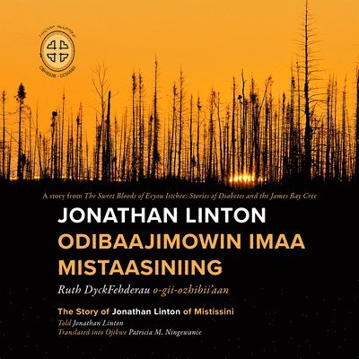 Jonathan Linton Odibaajimowin imaa Mistaasiniing 1