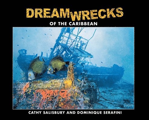 DreamWrecks of the Caribbean 1