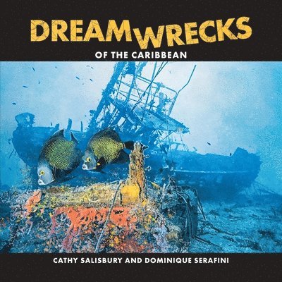 DreamWrecks of the Caribbean 1