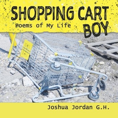 Shopping Cart Boy 1