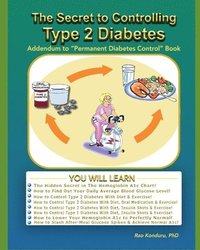 bokomslag The Secret To Controlling Type 2 Diabetes