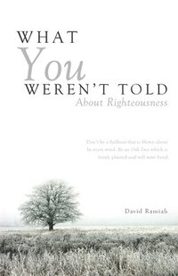 bokomslag What You Weren't Told About Righteousness