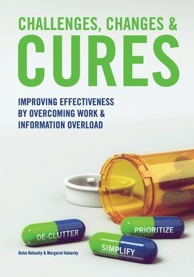 bokomslag Challenges, Changes & Cures: Improving Effectiveness By Overcoming Work And Information Overload