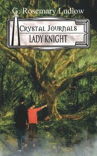 bokomslag Lady Knight