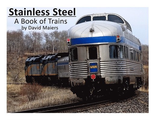 David Maiers - Stainless Steel - A Book of Trains (Color Edition), Häftad