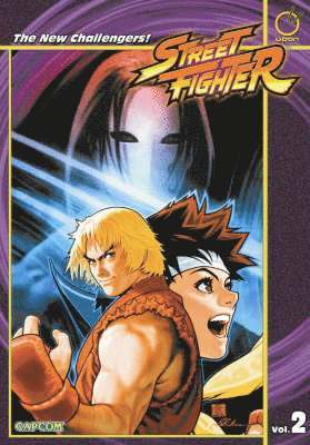 bokomslag Street Fighter Volume 2