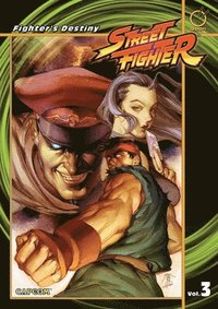 bokomslag Street Fighter Digest Volume 3: Fighter's Destiny