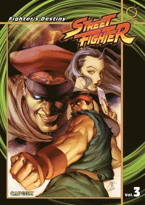 bokomslag Street Fighter Digest Volume 3: Fighter's Destiny