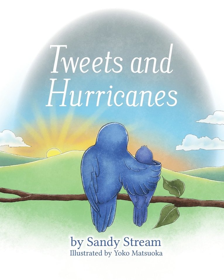 Tweets and Hurricanes 1