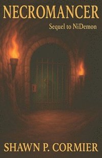 bokomslag Necromancer