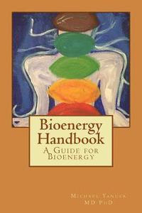 bokomslag Bioenergy Handbook: A Guide for Bioenergy