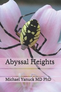 bokomslag Abyssal Heights
