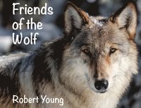 bokomslag Friends of the Wolf