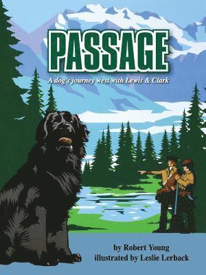 Robert Young - Passage, Häftad