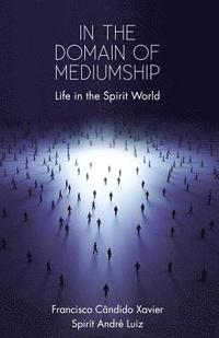 bokomslag In the Domain of Mediumship: Life in the Spirit World