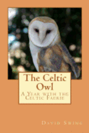 bokomslag The Celtic Owl: A Year with the Celtic Faerie