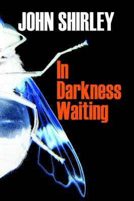 In Darkness Waiting 1