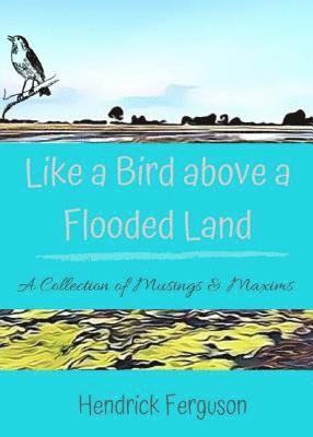 bokomslag Like a Bird above a Flooded Land: A Collection of Musings & Maxims