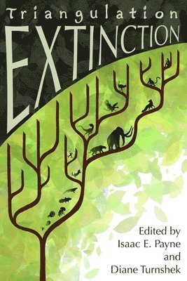 Joshua David Bellin, Diane Turnshek - Triangulation: Extinction, Häftad