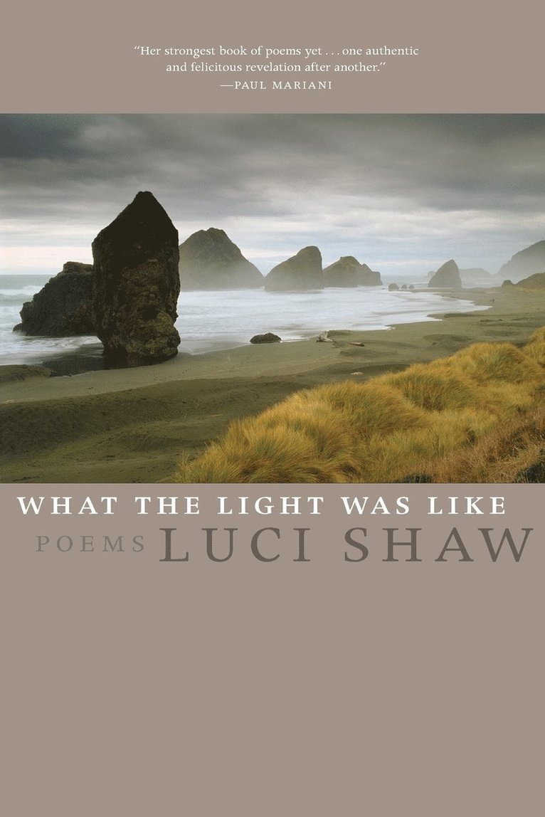 Luci Shaw - WHAT THE LIGHT WAS LIKE, Häftad
