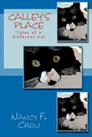 bokomslag Calley's Place: Tales of a Different Cat