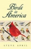 bokomslag Birds In America