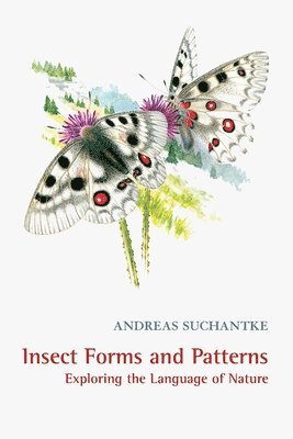 Andreas Suchantke - Insect Forms and Patterns Exploring the Language of Nature, Häftad