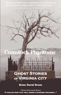 bokomslag Comstock Phantoms: Ghost Stories of Virginia City