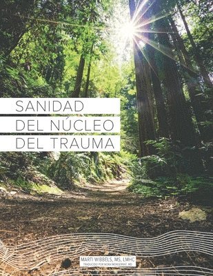 bokomslag Sanidad del Núcleo Del Trauma